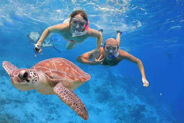 Snorkeling a Marsa Alam: Guida Completa ai Migliori Spot e Consigli Pratici