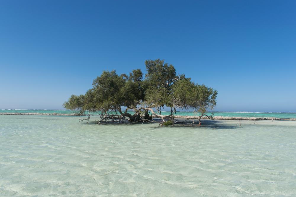Wadi el Gemal Beach